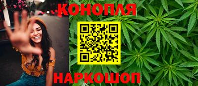 стаф Бийск