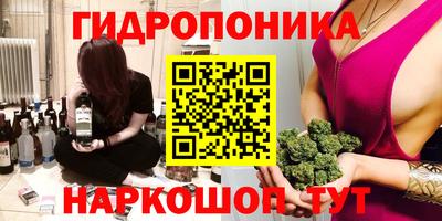 стаф Бийск