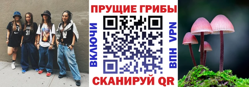 MEGA зеркало  Буйнакск  Галлюциногенные грибы ЛСД 