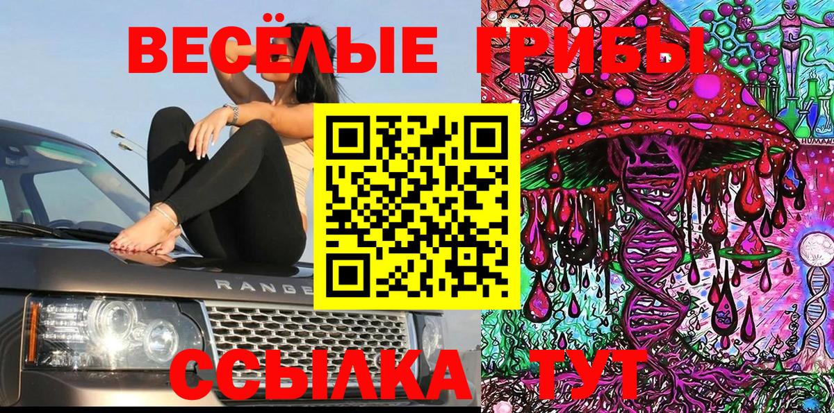 Псилоцибиновые грибы Psilocybine cubensis Буйнакск