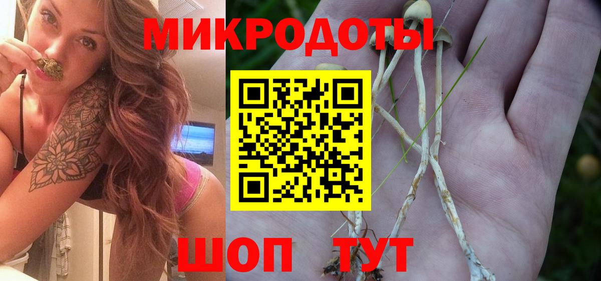 Галлюциногенные грибы GOLDEN TEACHER  Вход с VPN  Буйнакск 